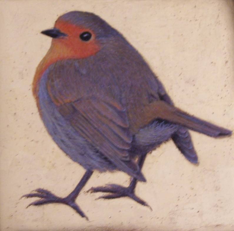 Pettirosso