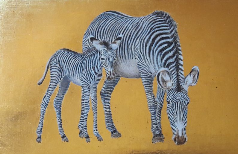 Zebre