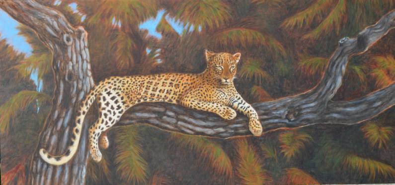 Leopardo