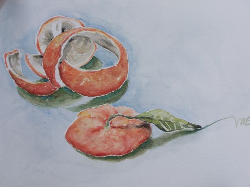 Buccia d’arancio 2a